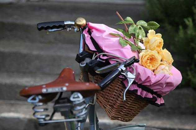 Dorothy Fahrradkorb-Abdeckung • Georgia in Dublin