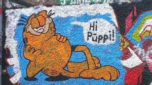 Garfield         