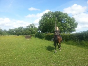 Cantering in the field 